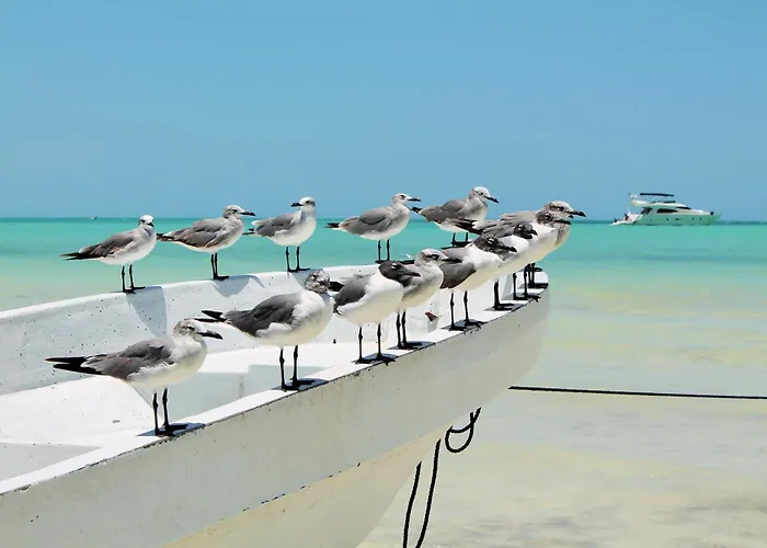 El Corazon Boutique Hotel - Adults Only With Beach Club Pass Included
