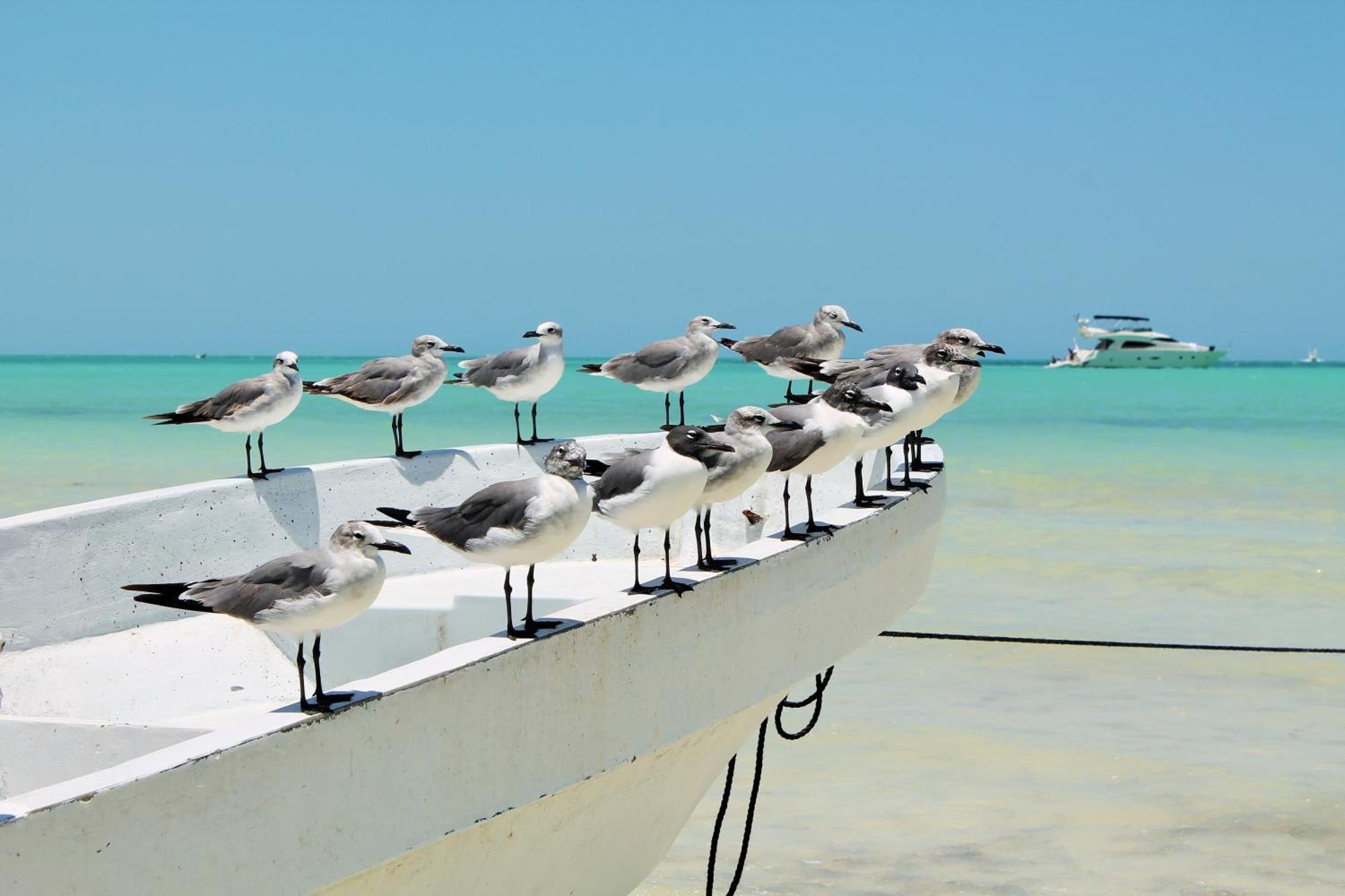 El Corazón Boutique - Adults Only Hotel Holbox